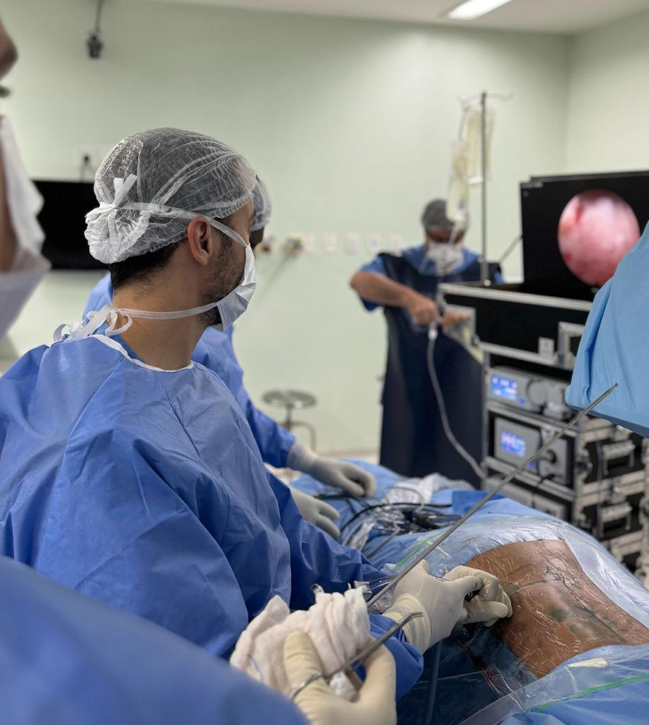Endoscopia de coluna — tratamento minimamente invasivo para hérnia de disco